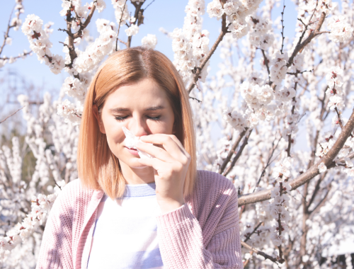 allergies and the gut